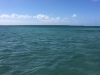 20140220-033
